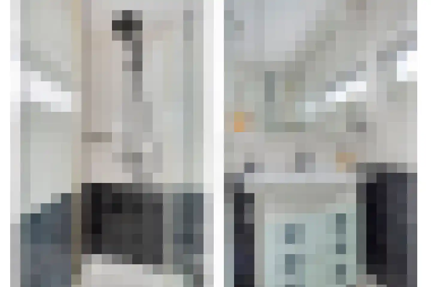 Hagesteinstraat 60 Zoetermeer thumbnail 32