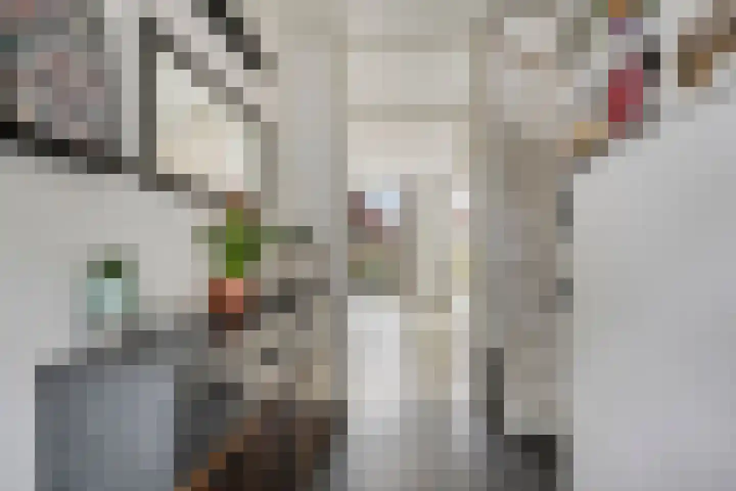 Hagesteinstraat 60 Zoetermeer thumbnail 7