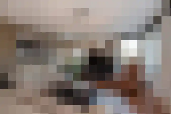 Hagesteinstraat 86 Zoetermeer thumbnail 12