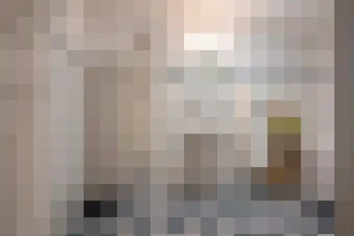 Hagesteinstraat 86 Zoetermeer thumbnail 18