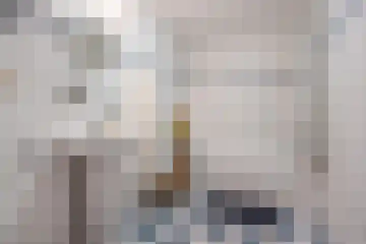 Hagesteinstraat 86 Zoetermeer thumbnail 19