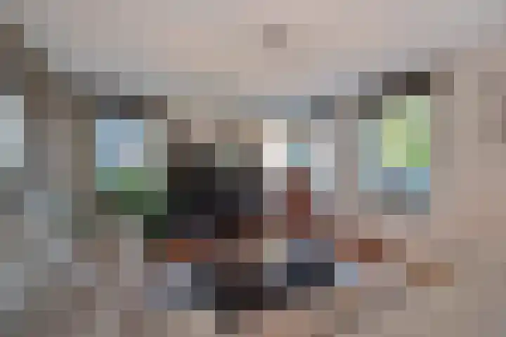Hagesteinstraat 86 Zoetermeer thumbnail 8