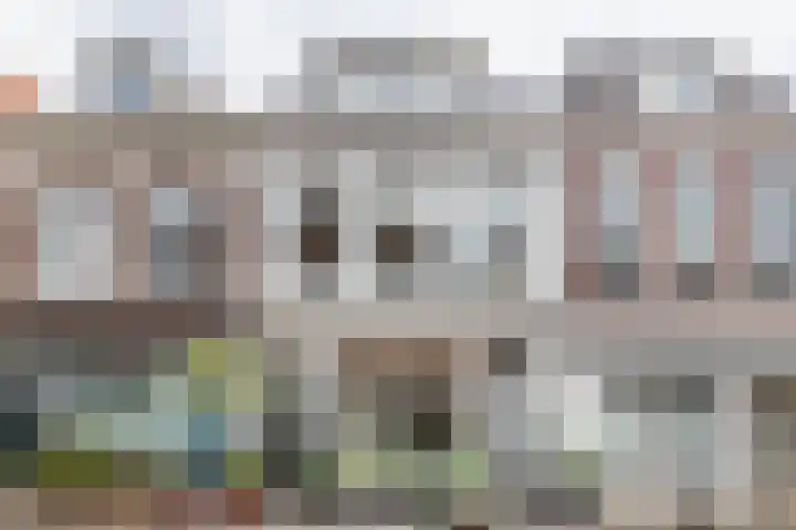 Hagestraat 51 ZW Haarlem thumbnail 49