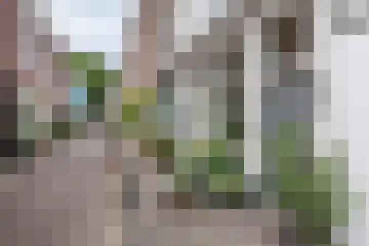 Hagestraat 51 ZW Haarlem thumbnail 6