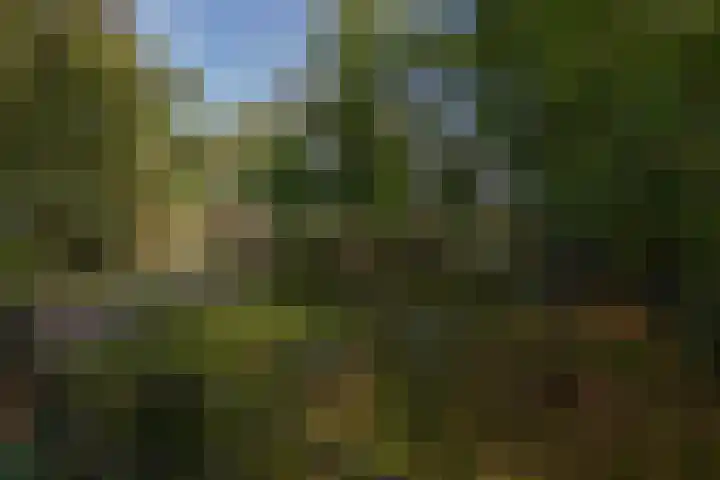 Hageveld 2 Heemstede thumbnail 47