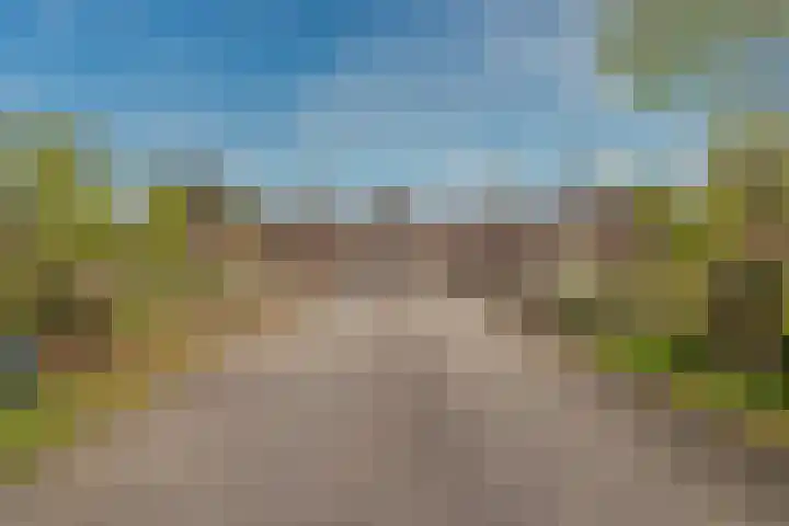 Hageveld 2 Heemstede thumbnail 54