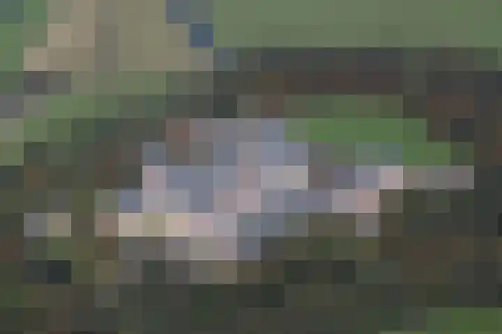 Hageveld 2 Heemstede thumbnail 55