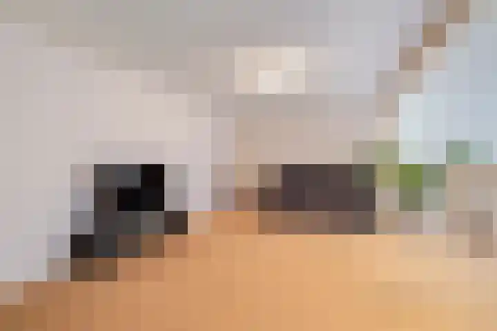 Hageveld 34 Heemstede thumbnail 14