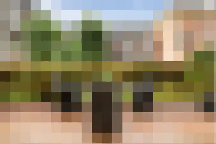 Hageveld 34 Heemstede thumbnail 27