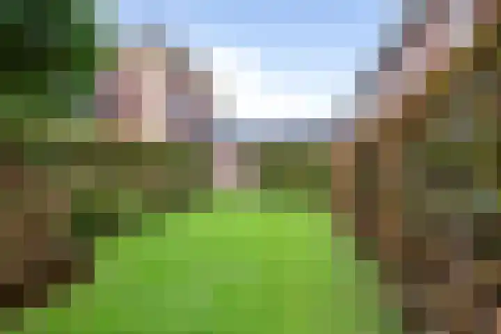 Hageveld 34 Heemstede thumbnail 33