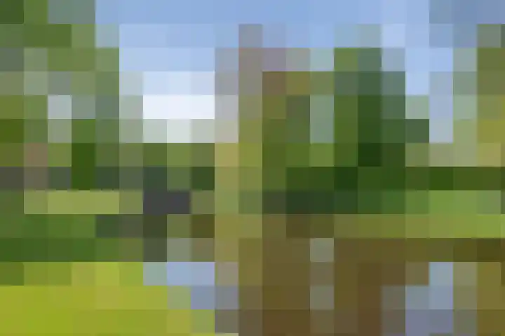 Hageveld 34 Heemstede thumbnail 48