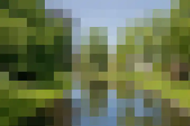 Hageveld 34 Heemstede thumbnail 49
