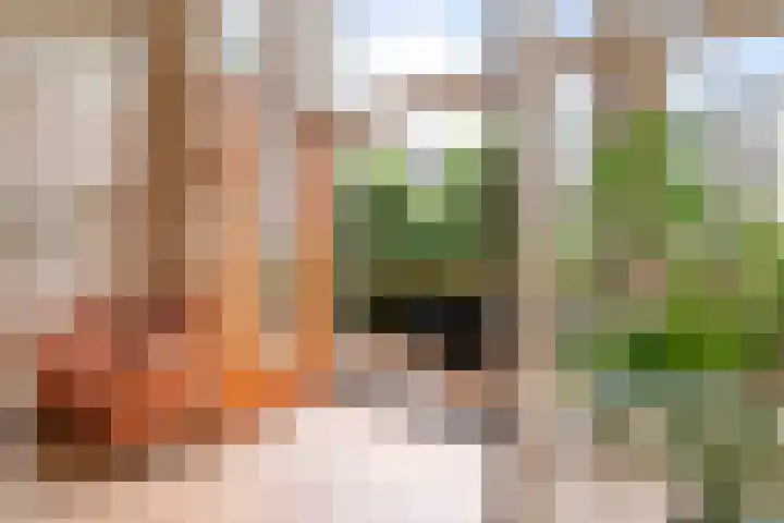 Hageveld 34 Heemstede thumbnail 5