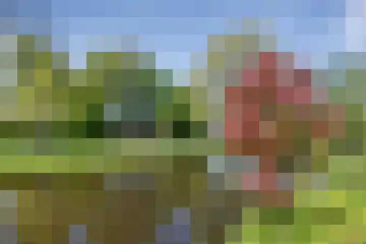 Hageveld 34 Heemstede thumbnail 50