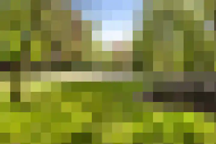 Hageveld 34 Heemstede thumbnail 52