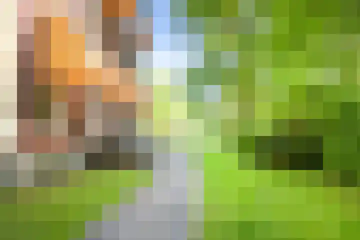 Hageveld 40 Heemstede thumbnail 65