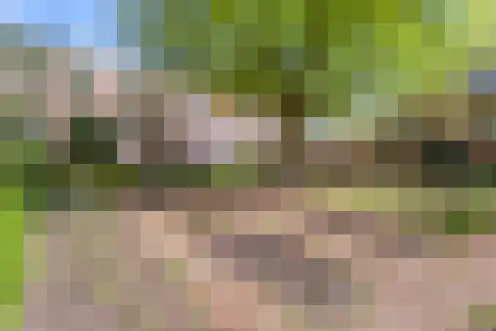 Hageveld 40 Heemstede thumbnail 69