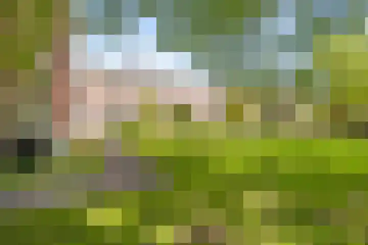 Hageveld 40 Heemstede thumbnail 70