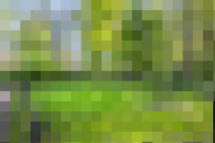 Hageveld 40 Heemstede thumbnail 72