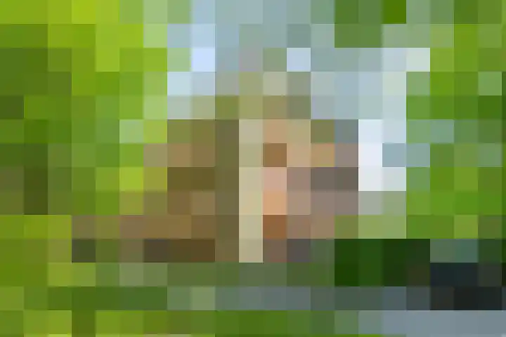 Hageveld 40 Heemstede thumbnail 86