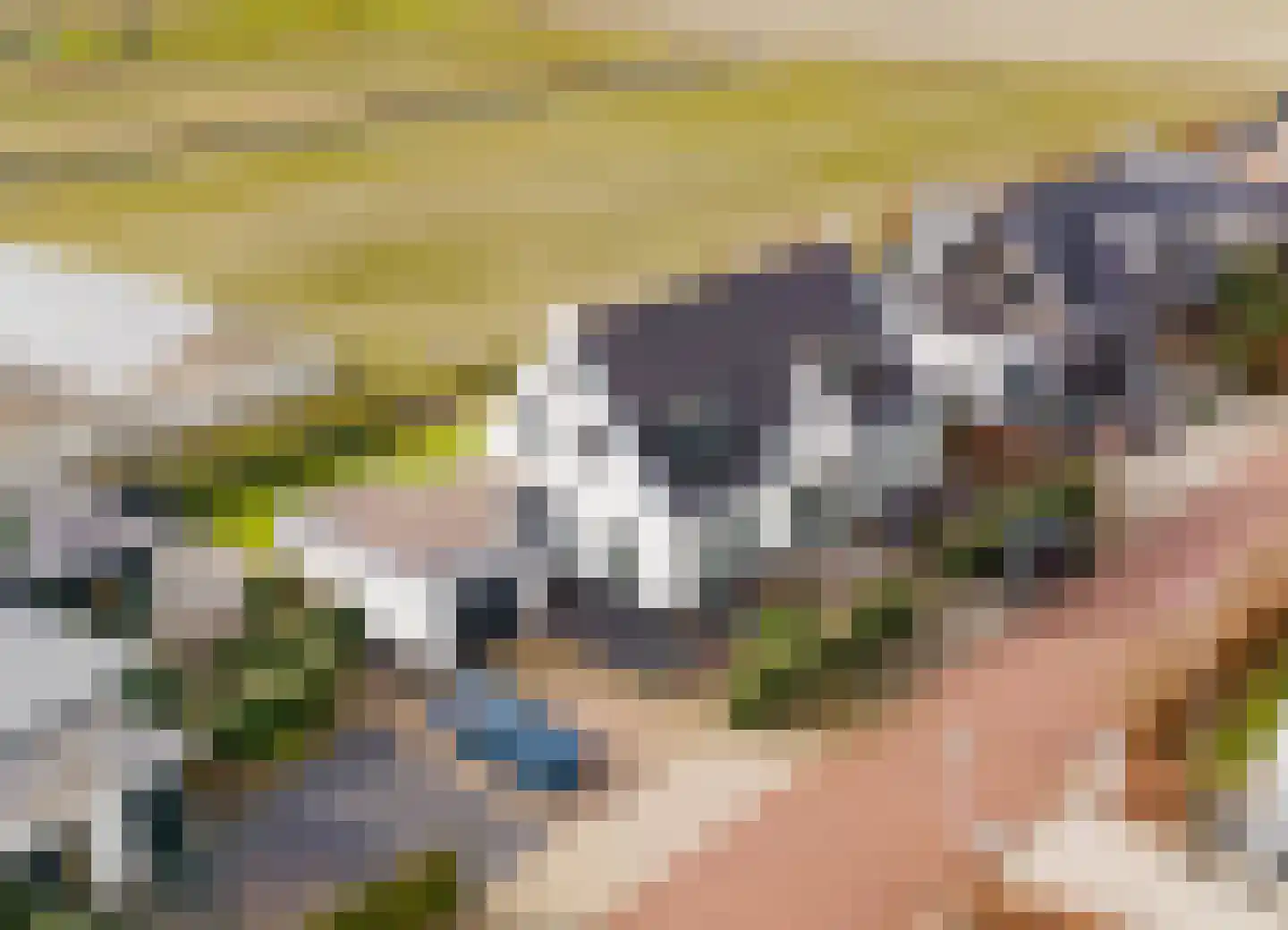 Hageveldhof 9 in Voorhout