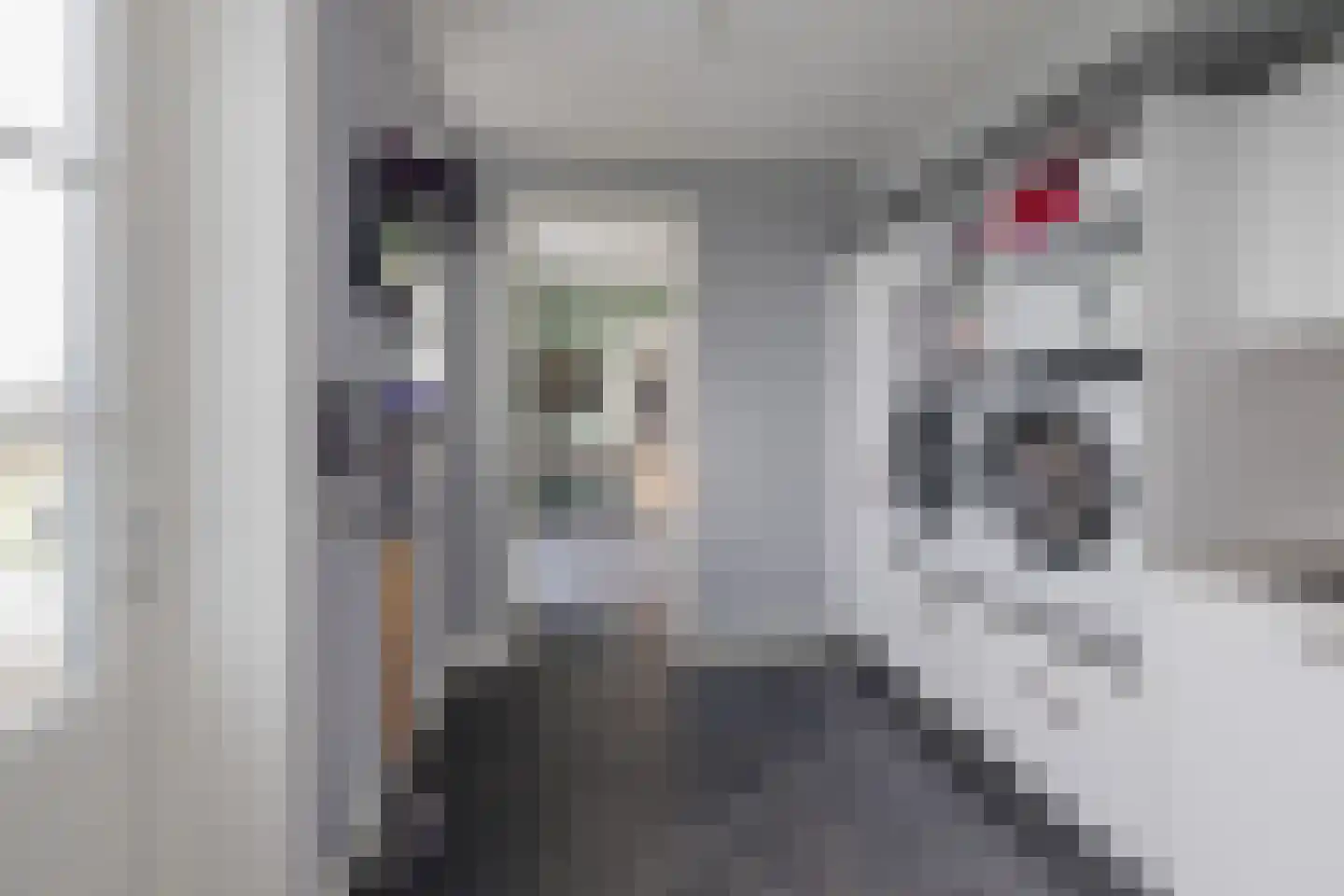 Hageveldhof 9 Voorhout thumbnail 26