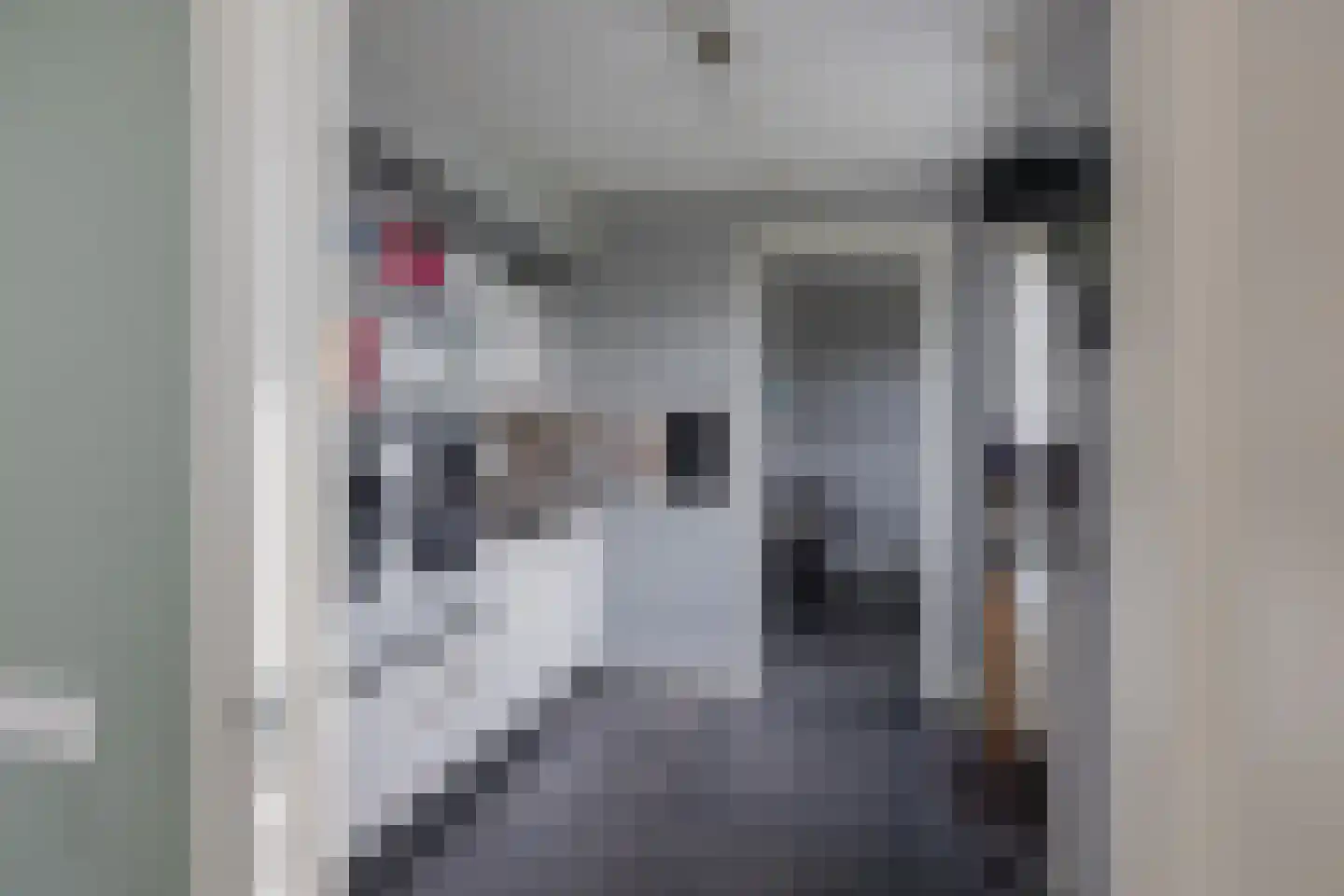 Hageveldhof 9 Voorhout thumbnail 27