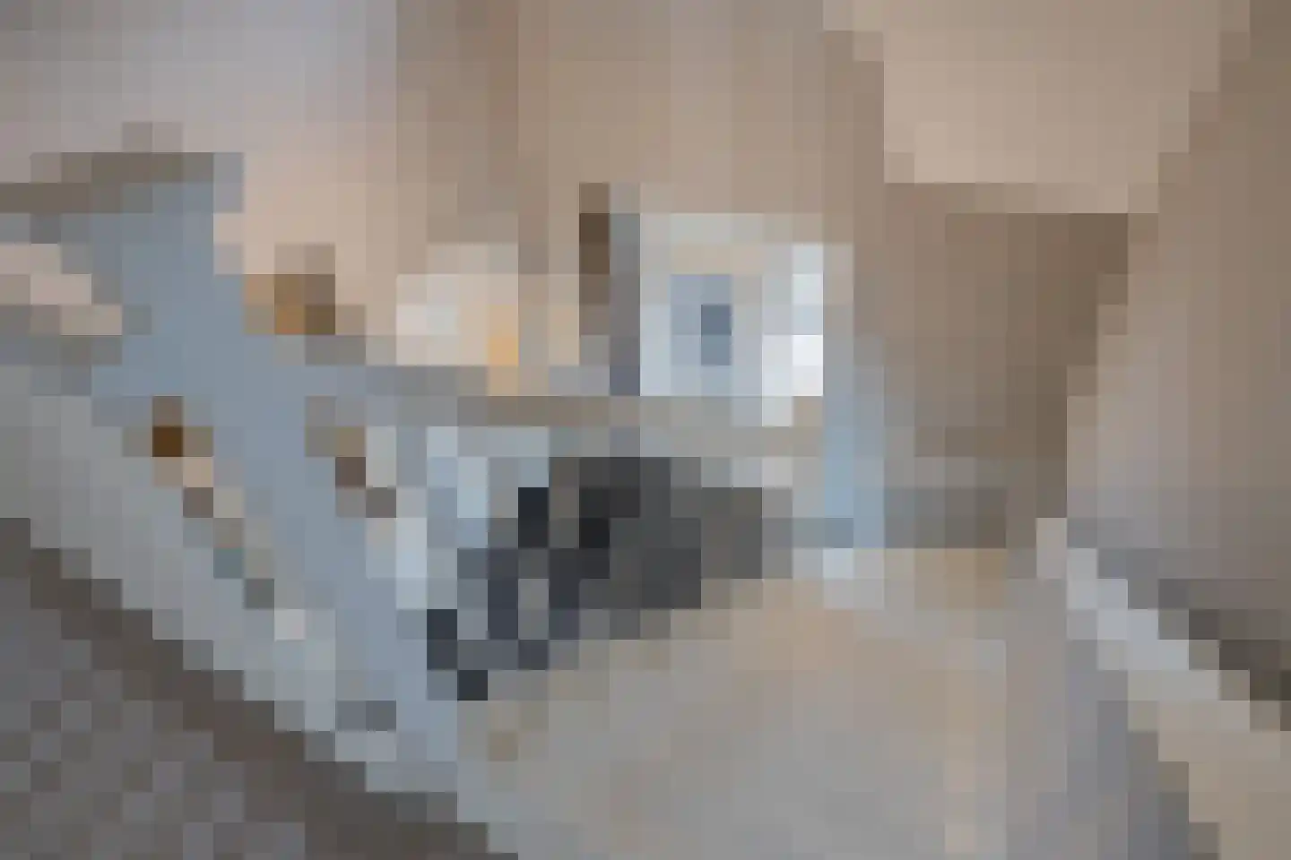 Hageveldhof 9 Voorhout thumbnail 30