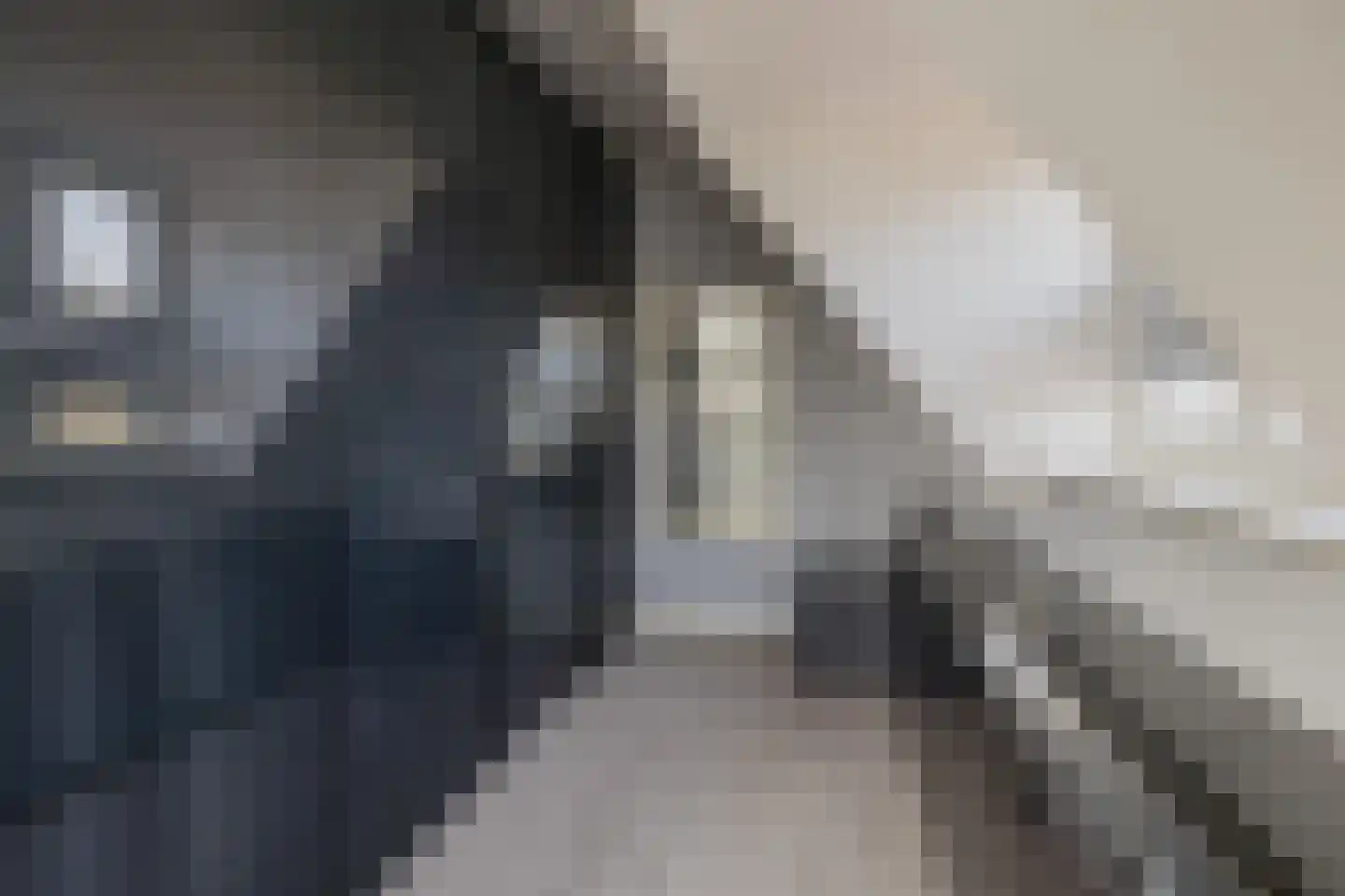 Hageveldhof 9 Voorhout thumbnail 37