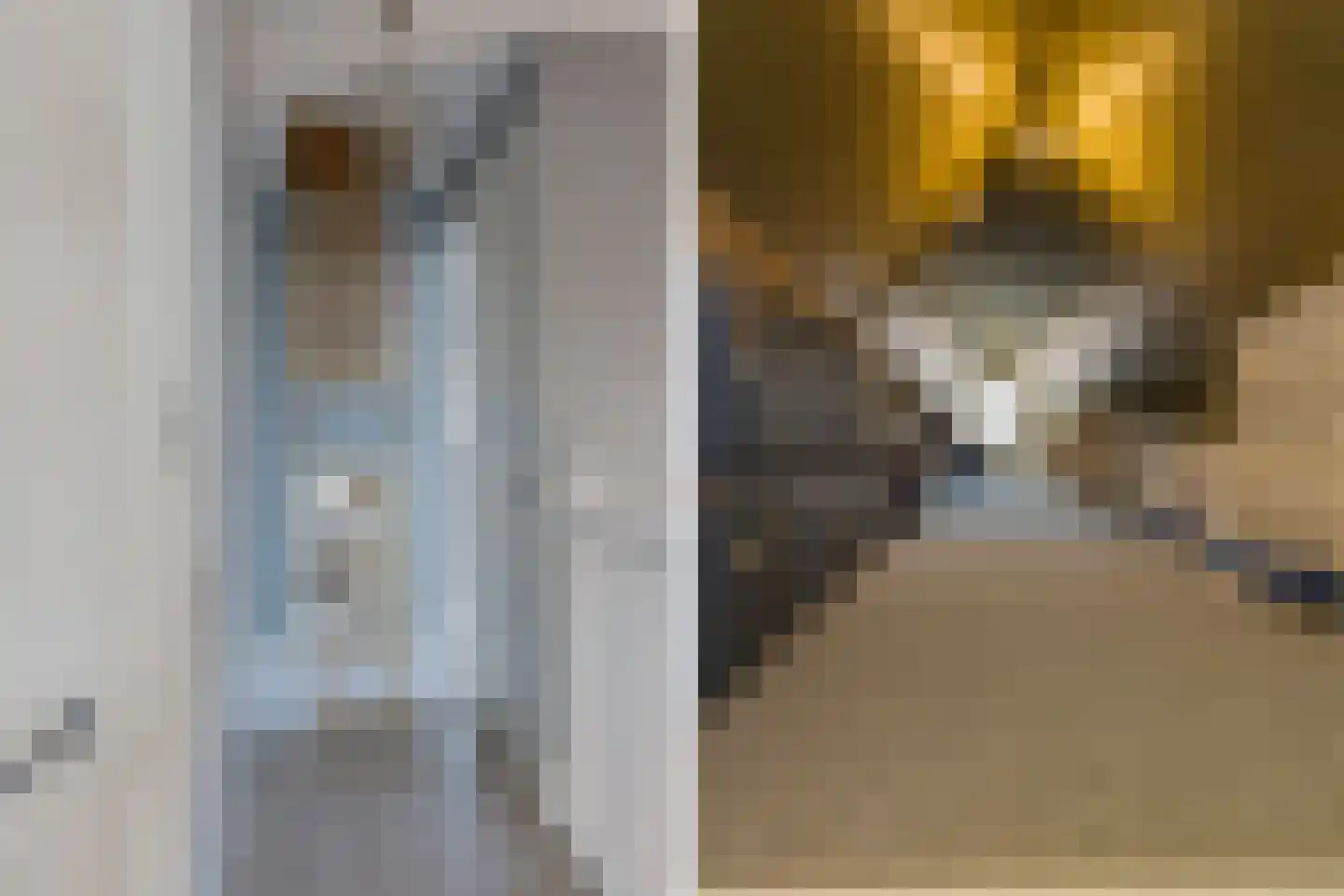 Hageveldhof 9 Voorhout thumbnail 47