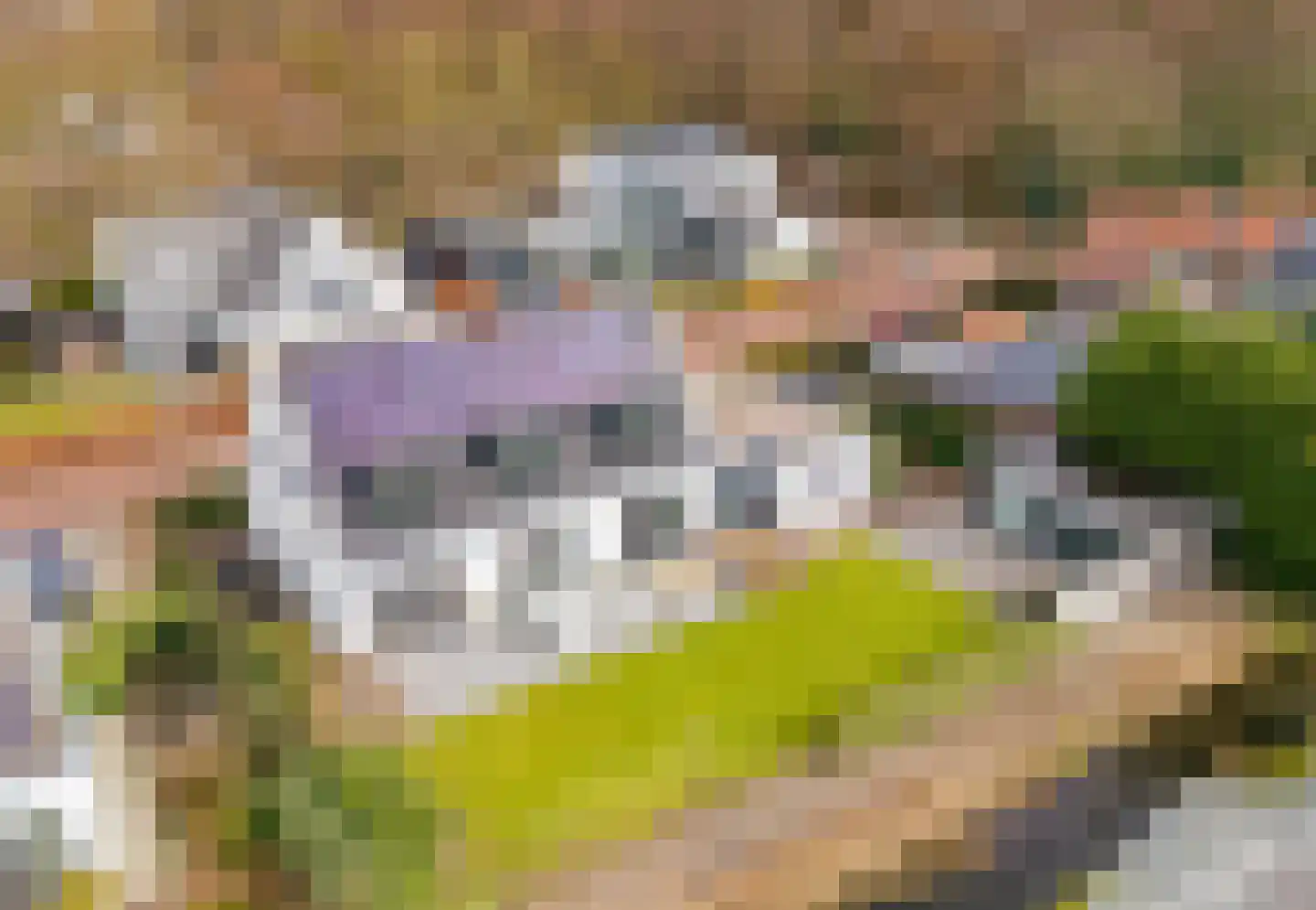 Hageveldhof 9 Voorhout thumbnail 65