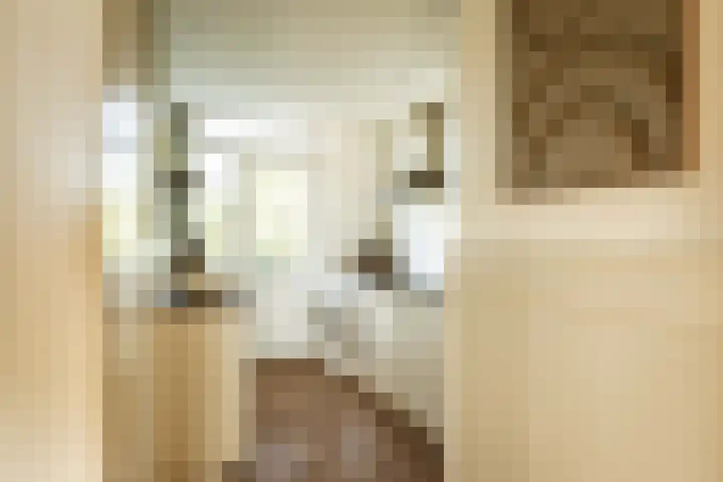Hageveldlaan 9 Santpoort-Noord thumbnail 15