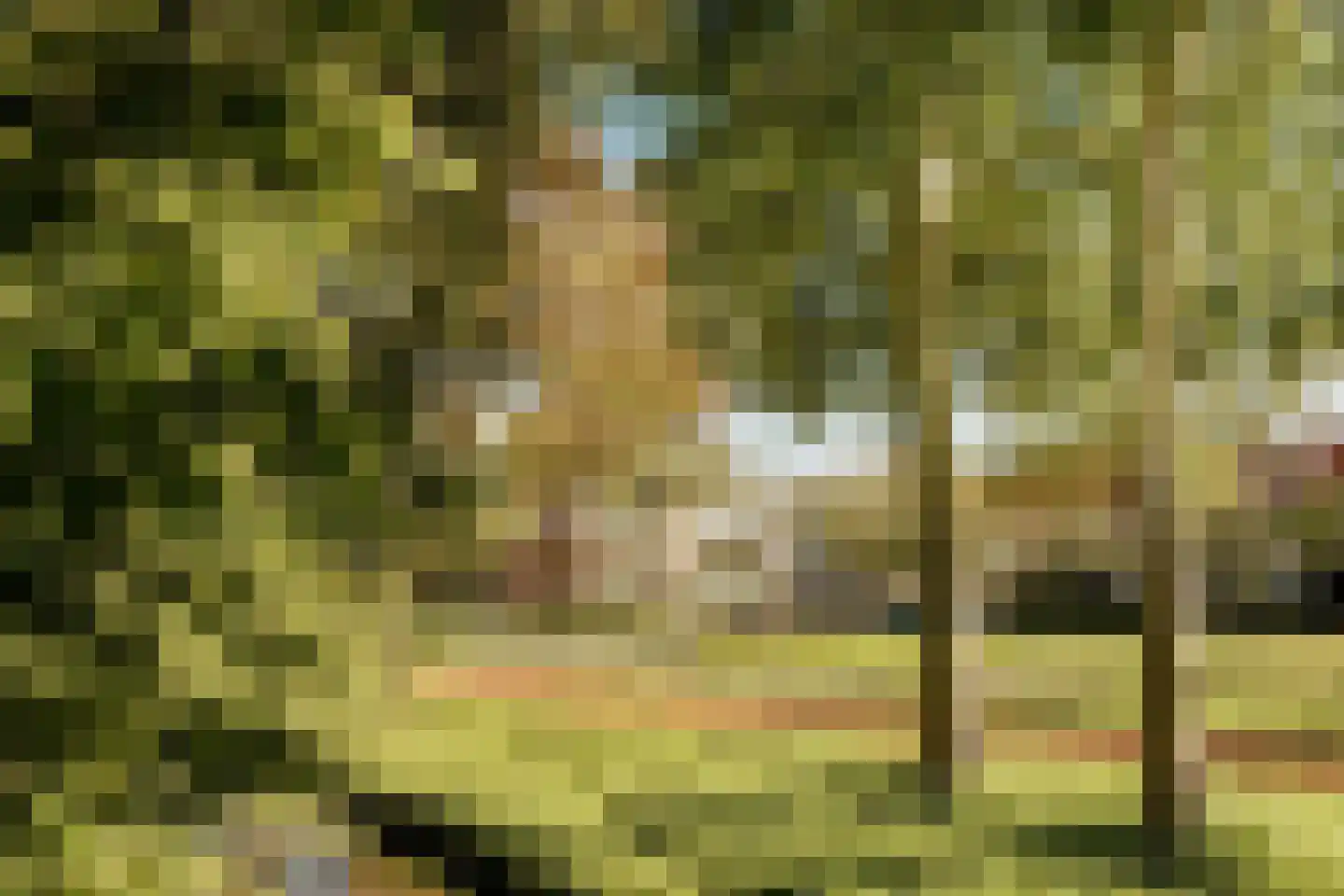 Hageveldlaan 9 Santpoort-Noord thumbnail 29