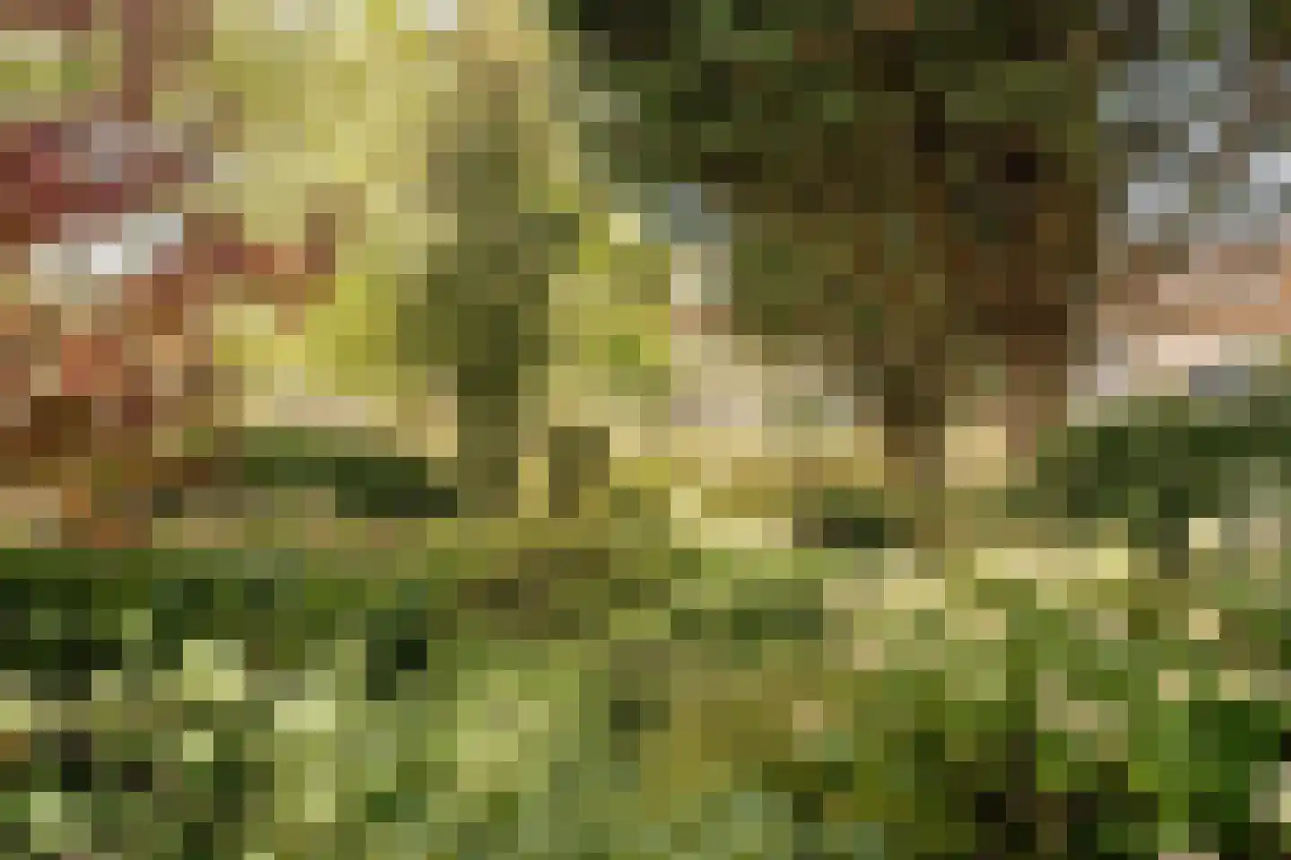 Hageveldlaan 9 Santpoort-Noord thumbnail 30