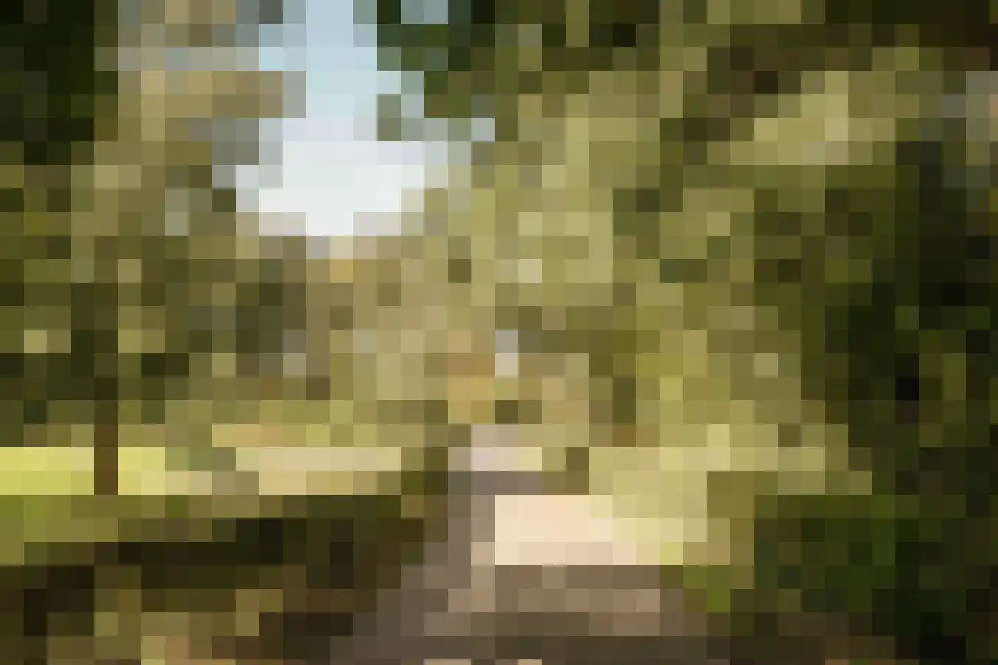 Hageveldlaan 9 Santpoort-Noord thumbnail 32