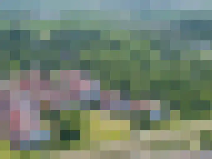 Hageweg "'t Centrum" 105 Bruinisse thumbnail 33