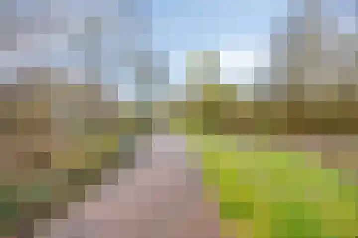 Hageweg "'t Centrum" 19 Bruinisse thumbnail 27