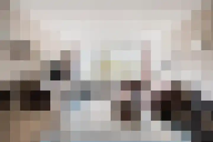 Hageweg "'t Centrum" 19 Bruinisse thumbnail 5