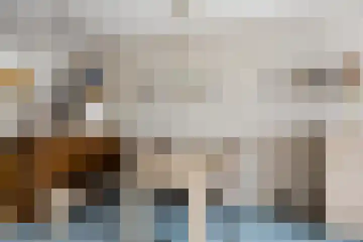 Hageweg "'t Centrum" 19 Bruinisse thumbnail 8