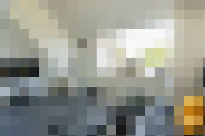 Hageweg "'t Centrum" 228 Bruinisse thumbnail 10
