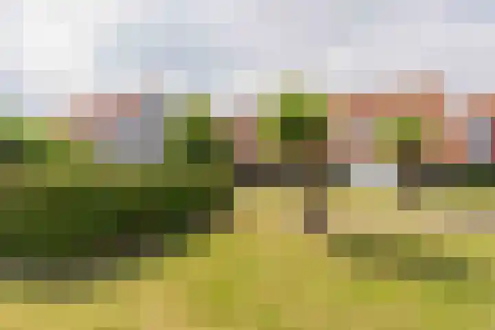 Hageweg "'t Centrum" 228 Bruinisse thumbnail 17