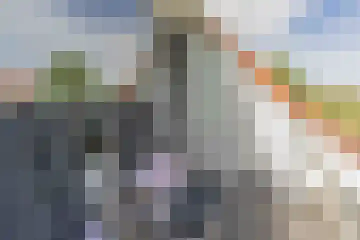 Hageweg "'t Centrum" 228 Bruinisse thumbnail 19