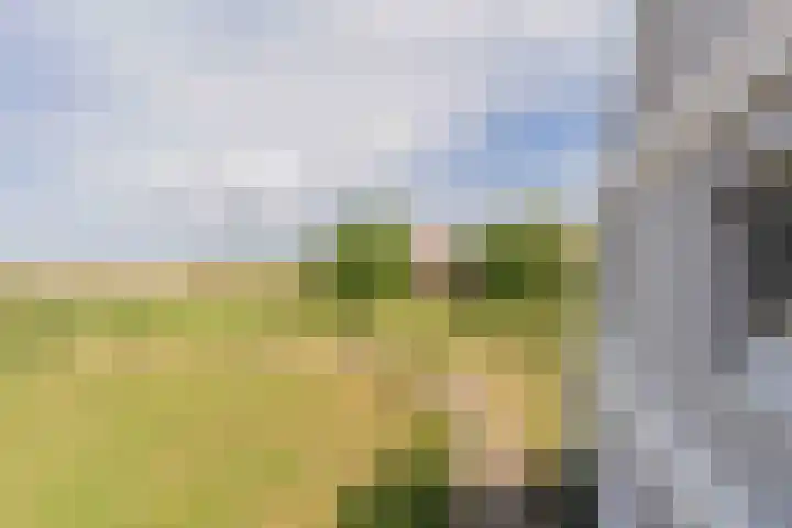 Hageweg "'t Centrum" 228 Bruinisse thumbnail 21