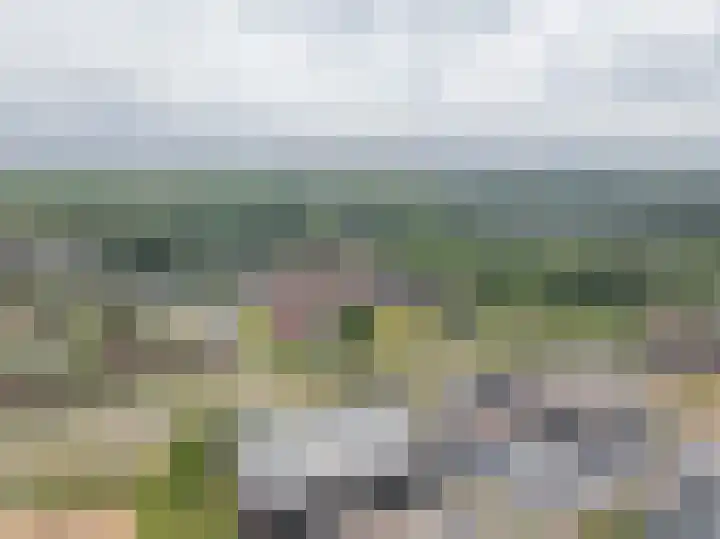 Hageweg "'t Centrum" 228 Bruinisse thumbnail 28