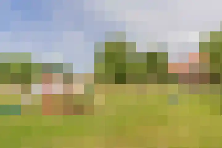 Hageweg "'t Centrum" 228 Bruinisse thumbnail 31