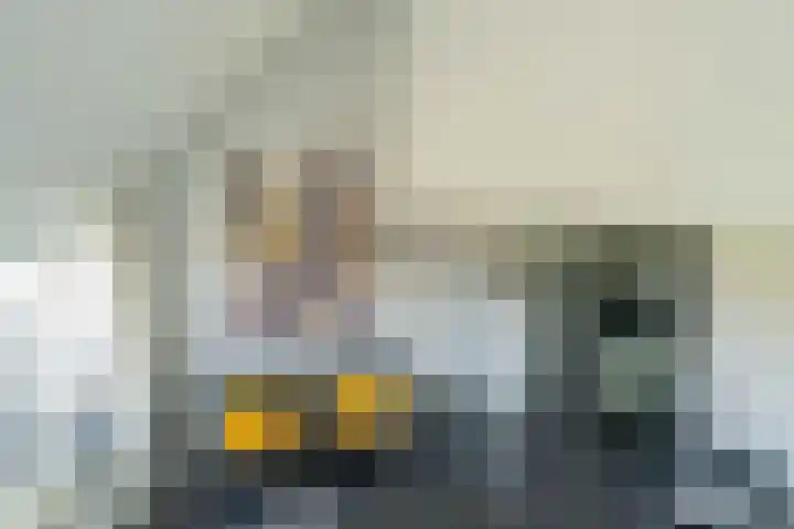 Hageweg "'t Centrum" 228 Bruinisse thumbnail 7