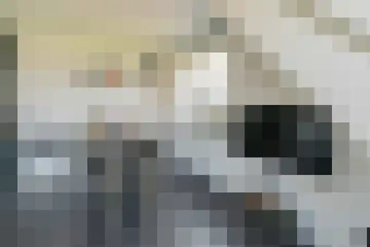 Hageweg "'t Centrum" 228 Bruinisse thumbnail 8