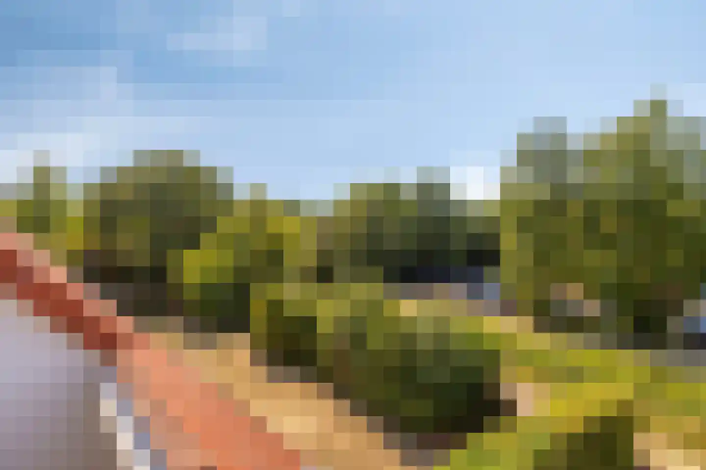 Hageweg "'t Centrum" 249 Bruinisse thumbnail 20