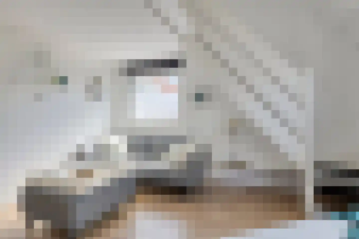 Hageweg "'t Centrum" 249 Bruinisse thumbnail 9