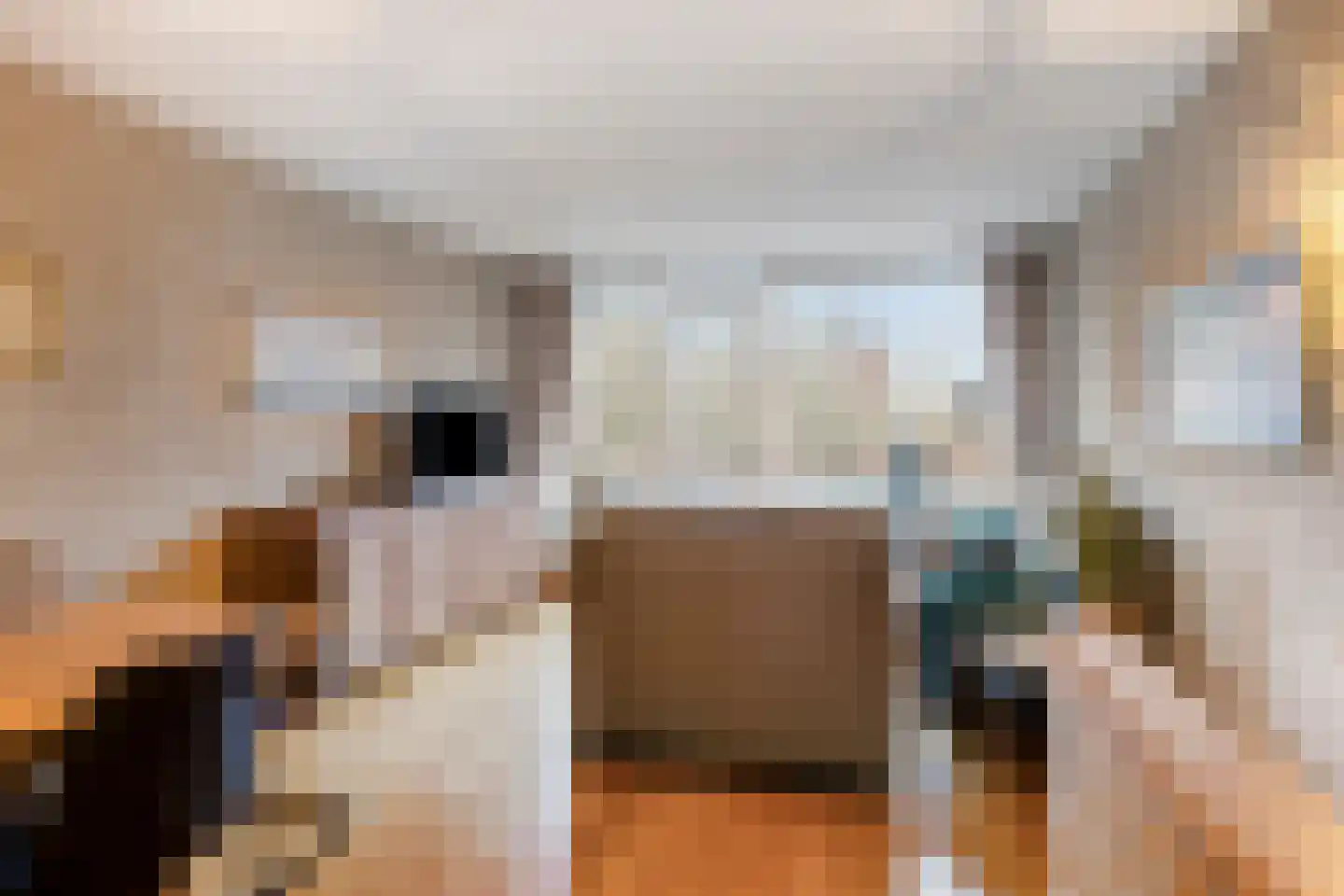 Hageweg "'t Centrum" 58 Bruinisse thumbnail 10